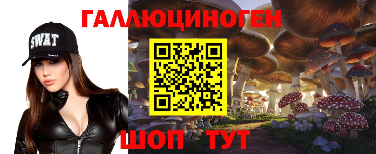 Псилоцибиновые грибы мухоморы  Вход с VPN  магазин продажи   Ишим 