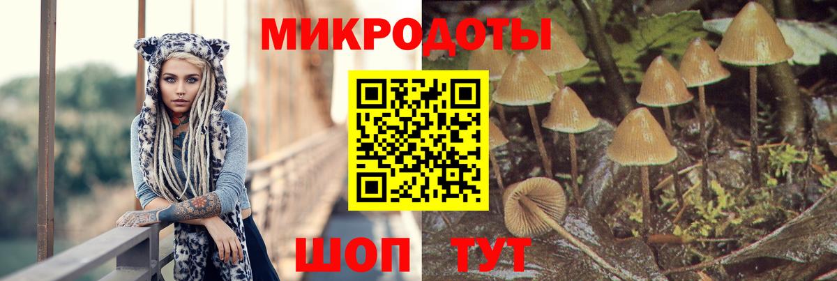 Псилоцибиновые грибы мухоморы Ишим